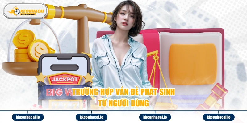 Trường hợp vấn đề phát sinh từ người dùng 